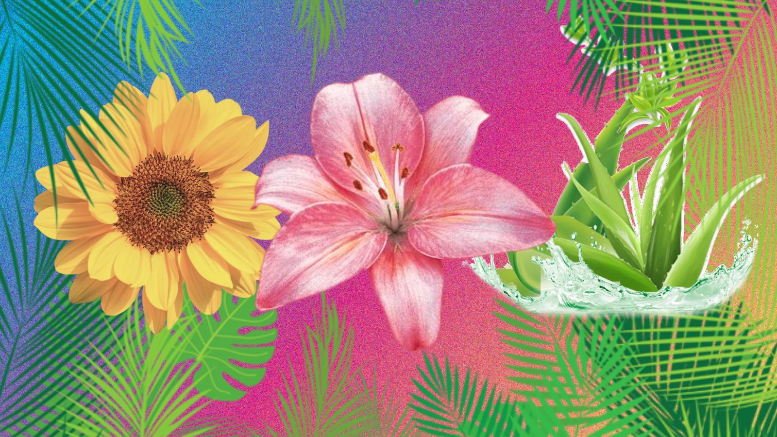 plants for summer